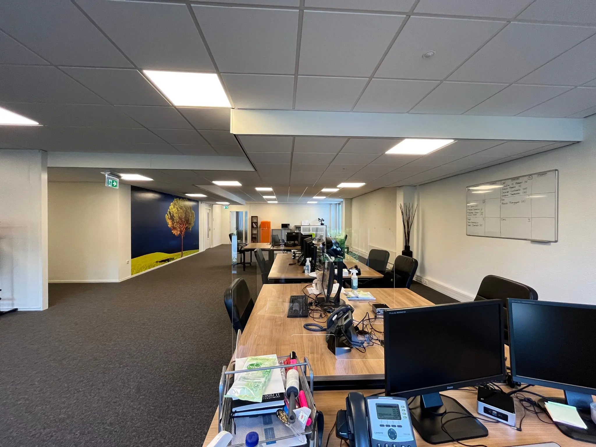Modern kantoorinterieur aan de Oude Utrechtseweg met bureaus, computers en een wanddecoratie van een boom.